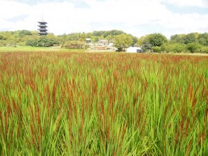 休暇村グループの公共の宿 国民宿舎サンロード吉備路