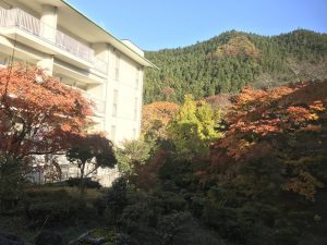 休暇村グループの公共の宿 国民宿舎両神荘 もみじ4