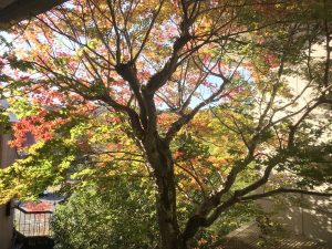 休暇村グループの公共の宿 国民宿舎両神荘 もみじ2