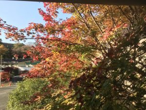休暇村グループの公共の宿 国民宿舎両神荘 もみじ3