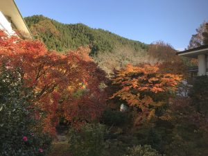 休暇村グループの公共の宿 国民宿舎両神荘 もみじ