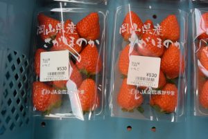 休暇村グループ公共の宿 国民宿舎サンロード吉備路