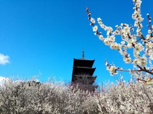 休暇村グループ公共の宿 国民宿舎サンロード吉備路