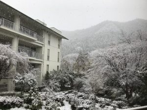 休暇村グループの公共の宿 国民宿舎両神荘 雪2
