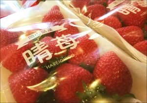休暇村グループ公共の宿 国民宿舎サンロード吉備路