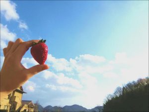 休暇村グループ公共の宿 国民宿舎サンロード吉備路