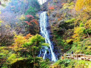休暇村グループの公共の宿 国民宿舎両神荘 丸神の滝
