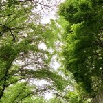 休暇村グループの公共の宿　国民宿舎両神荘　散策3
