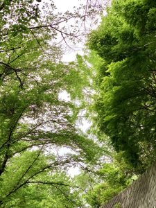 休暇村グループの公共の宿 国民宿舎両神荘 散策3