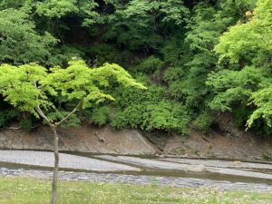 休暇村グループの公共の宿 国民宿舎両神荘 散策5