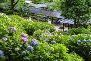 休暇村グループ公共の宿 国民宿舎サンロード吉備路