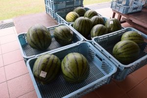 休暇村グループ公共の宿 国民宿舎サンロード吉備路