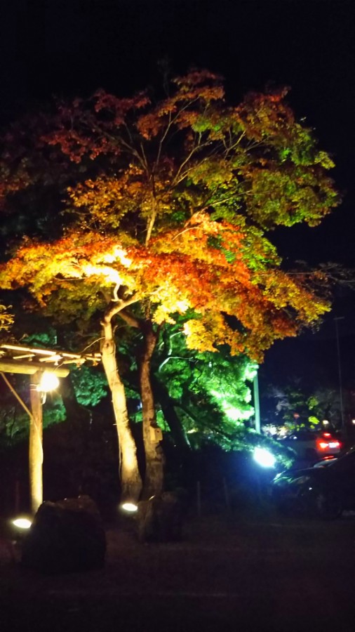 休暇村グループの公共の宿 国民宿舎両神荘 宝登山神社ライトアップ