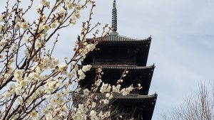 休暇村グループ公共の宿 国民宿舎サンロード吉備路