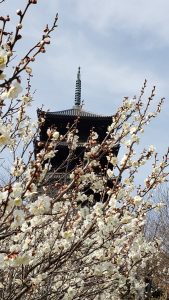 休暇村グループ公共の宿 国民宿舎サンロード吉備路
