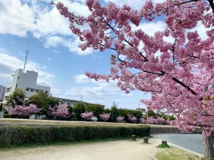 休暇村グループ公共の宿 国民宿舎サンロード吉備路