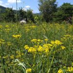 休暇村グループの公共の宿+国民宿舎両神荘+女郎花