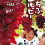 休暇村グループの公共の宿+国民宿舎両神荘+ちちぶ山ルビー