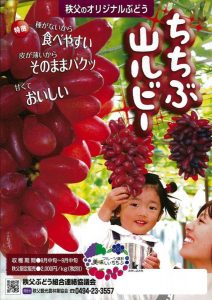 休暇村グループの公共の宿+国民宿舎両神荘+ちちぶ山ルビー