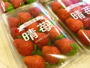 休暇村グループ公共の宿　国民宿舎サンロード吉備路