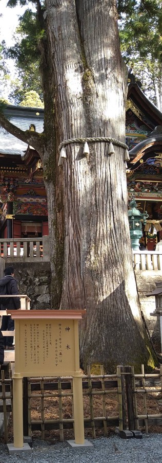 休暇村グループの公共の宿+国民宿舎両神荘+三峯神社