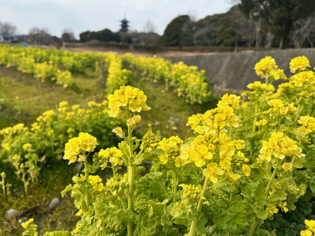 休暇村グループ公共の宿 国民宿舎サンロード吉備路