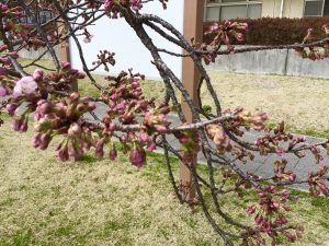 休暇村グループ公共の宿 国民宿舎サンロード吉備路