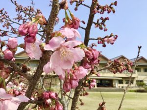 休暇村グループ公共の宿 国民宿舎サンロード吉備路