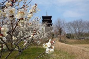 休暇村グループ公共の宿 国民宿舎サンロード吉備路