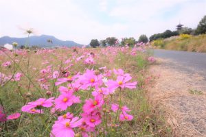 休暇村グループ公共の宿 国民宿舎サンロード吉備路