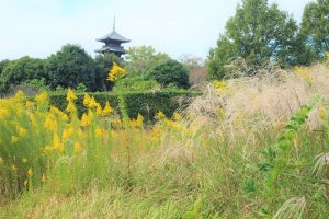 休暇村グループ公共の宿 国民宿舎サンロード吉備路
