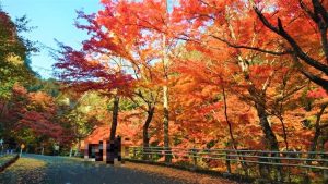 休暇村グループ公共の宿