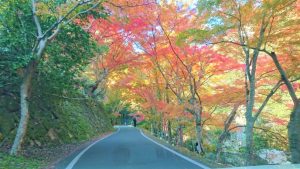 休暇村グループ公共の宿