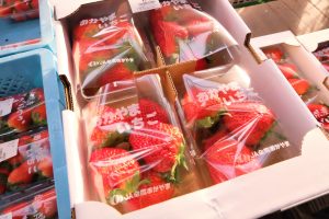 休暇村グループ公共の宿