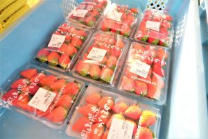 休暇村グループ公共の宿