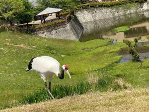 休暇村グループ公共の宿　国民宿舎サンロード吉備路