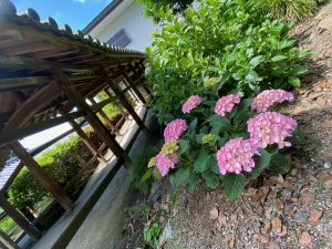 休暇村グループ公共の宿 国民宿舎サンロード吉備路