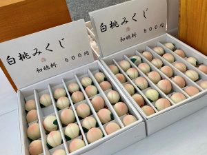 休暇村グループ公共の宿 国民宿舎サンロード吉備路