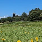 休暇村グループ公共の宿　国民宿舎サンロード吉備路