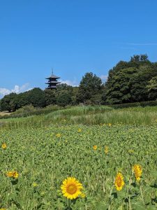 休暇村グループ公共の宿 国民宿舎サンロード吉備路