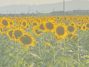 休暇村グループ公共の宿 国民宿舎サンロード吉備路