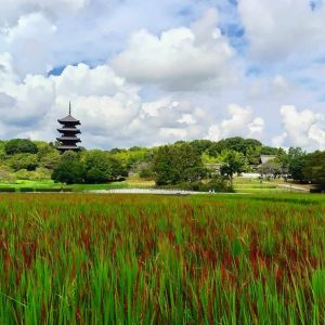 休暇村グループ公共の宿 国民宿舎サンロード吉備路