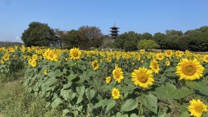 休暇村グループ公共の宿　国民宿舎サンロード吉備路